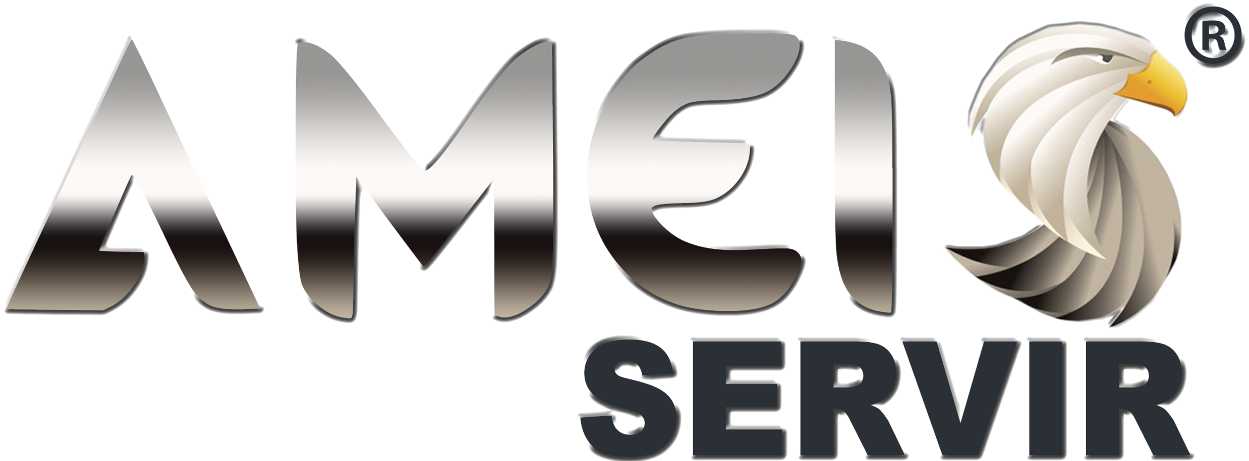 AMEIS SERVIR